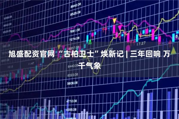 旭盛配资官网 “古柏卫士”焕新记 | 三年回响 万千气象